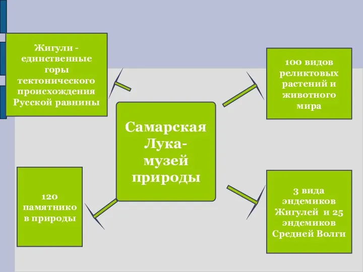 Самарская Лука- музей природы 100 видов реликтовых растений и животного мира