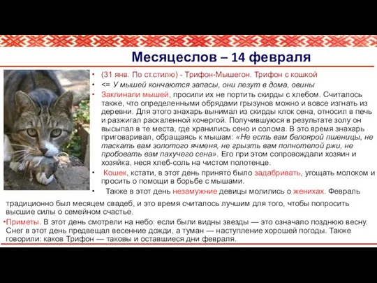 Месяцеслов – 14 февраля (31 янв. По ст.стилю) - Трифон-Мышегон. Трифон