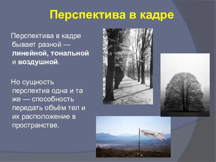 Перспектива в кадре Перспектива в кадре бывает разной — линейной, тональной