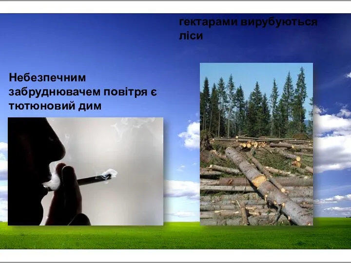 Небезпечним забруднювачем повітря є тютюновий дим гектарами вирубуються ліси