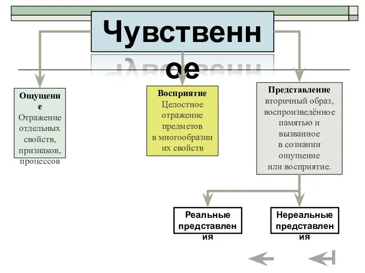 Ощущение Отражение отдельных свойств, признаков, процессов Чувственное Восприятие Целостное отражение предметов