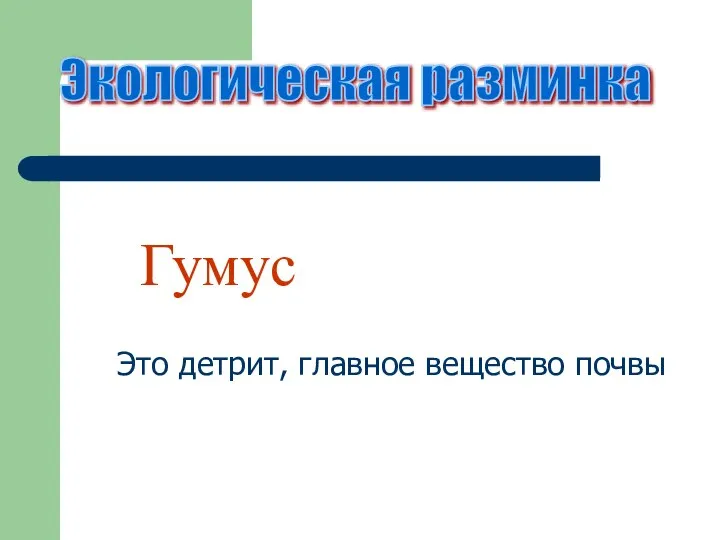 Экологическая разминка Гумус Это детрит, главное вещество почвы