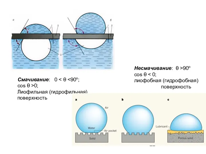 Смачивание: 0 cos θ >0; Лиофильная (гидрофильная) поверхность Несмачивание: θ >90o cos θ лиофобная (гидрофобная) поверхность