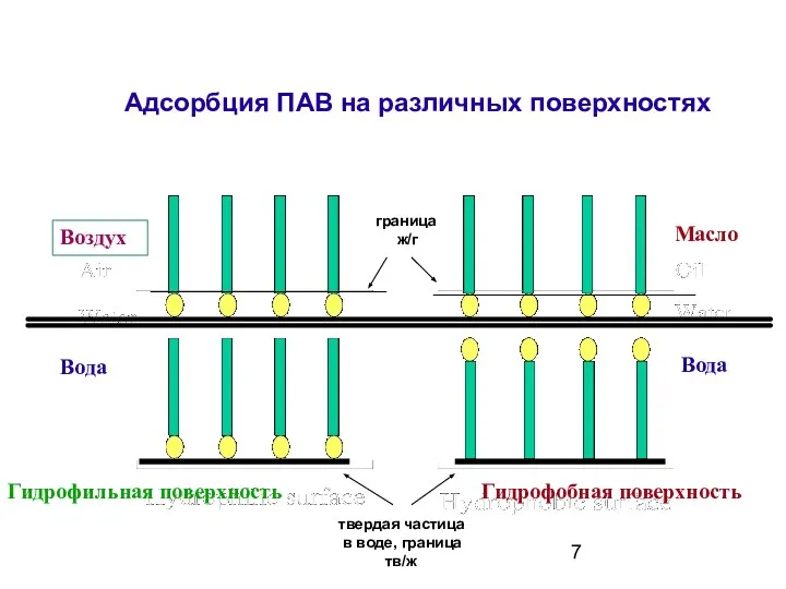 Адсорбция ПАВ на различных поверхностях Вода Вода Гидрофильная поверхность Гидрофобная поверхность