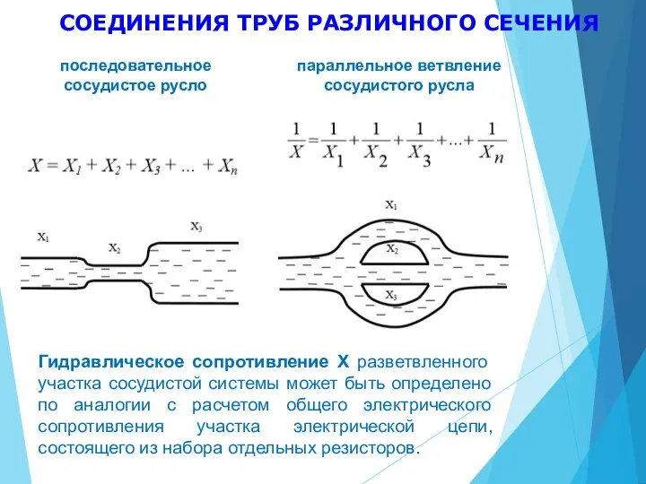 СОЕДИНЕНИЯ ТРУБ РАЗЛИЧНОГО СЕЧЕНИЯ Гидравлическое сопротивление X разветвленного участка сосудистой системы