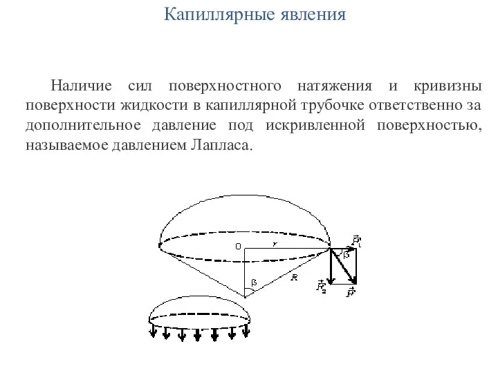 Капиллярные явления Наличие сил поверхностного натяжения и кривизны поверхности жидкости в