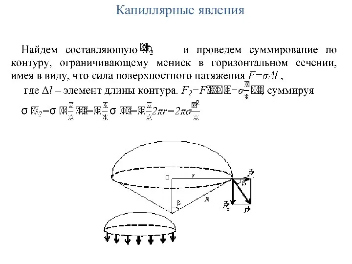 Капиллярные явления