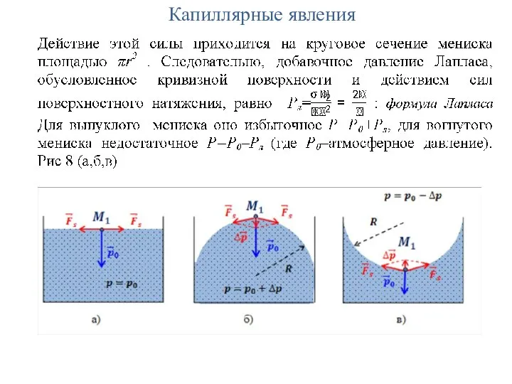 Капиллярные явления