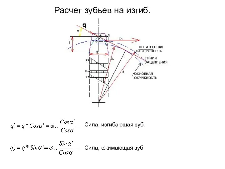 Расчет зубьев на изгиб. Сила, изгибающая зуб, Сила, сжимающая зуб