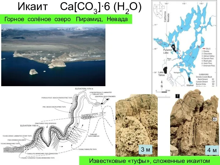 Икаит Ca[CO3]·6 (H2O) Горное солёное озеро Пирамид, Невада Известковые «туфы», сложенные икаитом 4 м 3 м