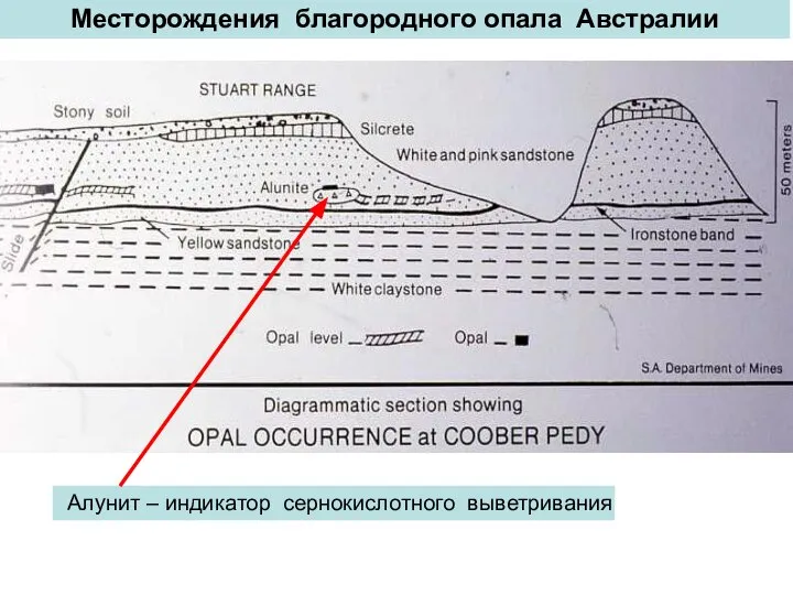 Месторождения благородного опала Австралии Алунит – индикатор сернокислотного выветривания