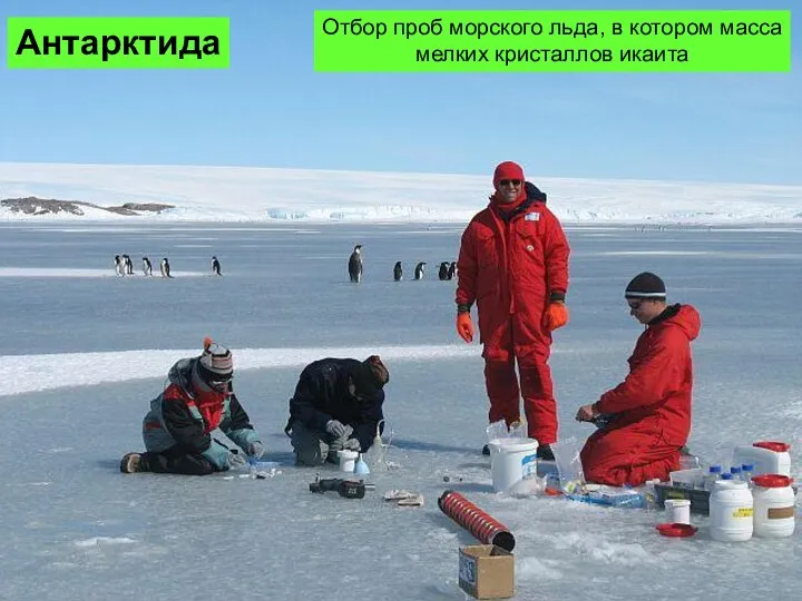 Антарктида Отбор проб морского льда, в котором масса мелких кристаллов икаита