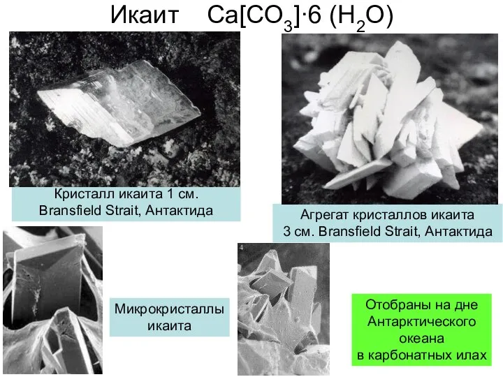 Икаит Ca[CO3]·6 (H2O) Кристалл икаита 1 см. Bransfield Strait, Антактида Агрегат