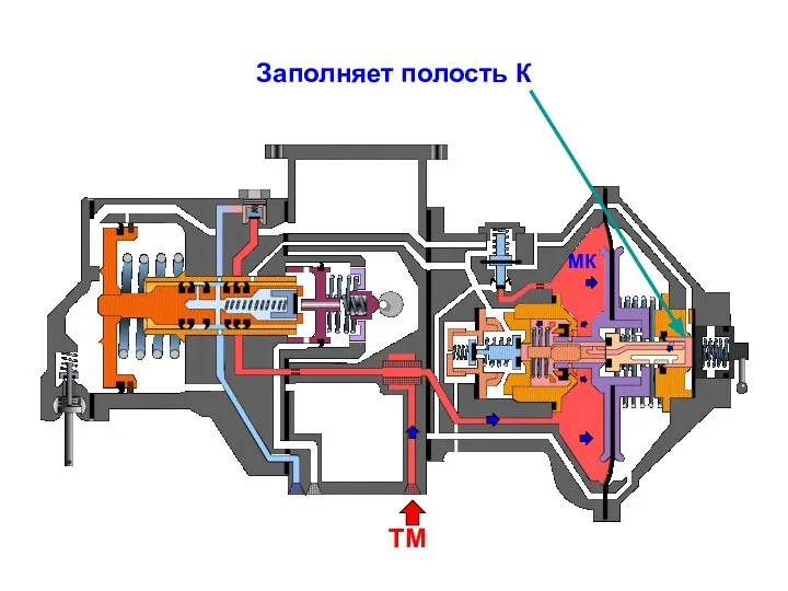 Заполняет полость К ТМ МК