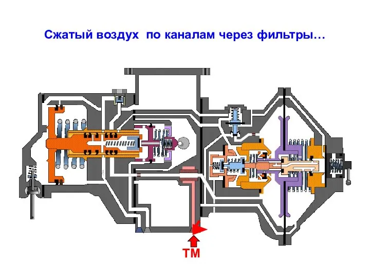 Сжатый воздух по каналам через фильтры… ТМ