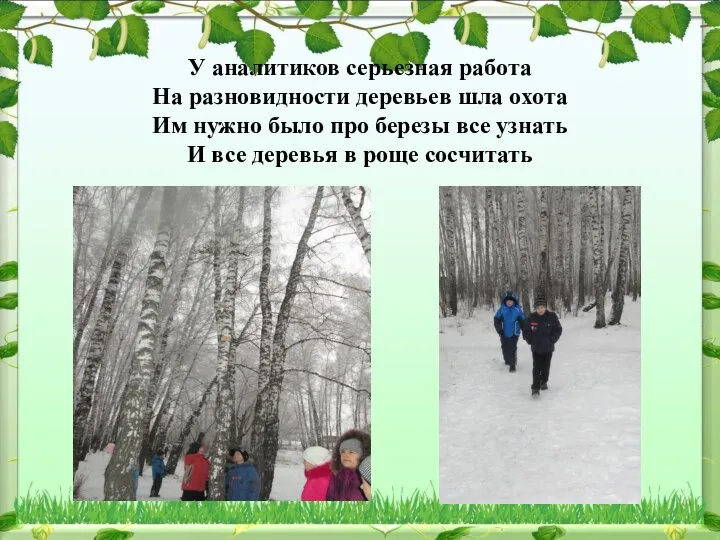 У аналитиков серьезная работа На разновидности деревьев шла охота Им нужно