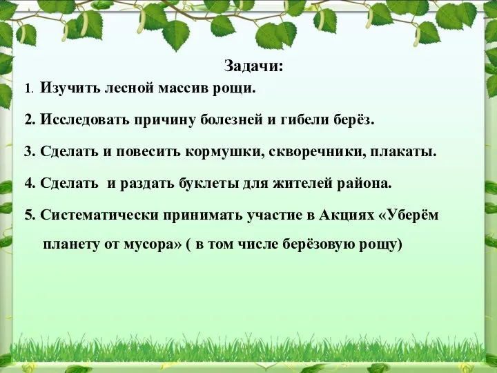 Задачи: 1. Изучить лесной массив рощи. 2. Исследовать причину болезней и