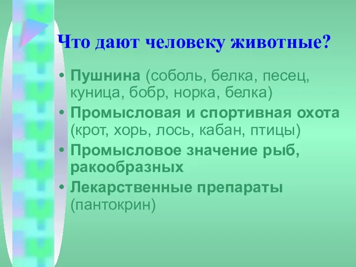 Что дают человеку животные? Пушнина (соболь, белка, песец, куница, бобр, норка,