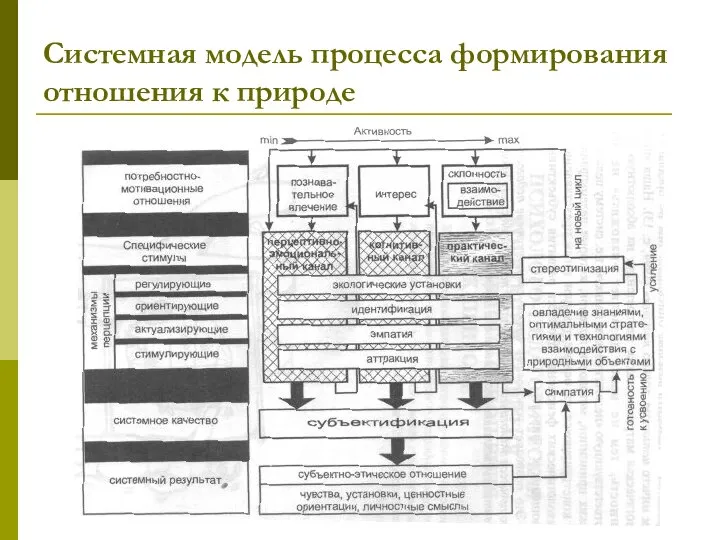 Системная модель процесса формирования отношения к природе