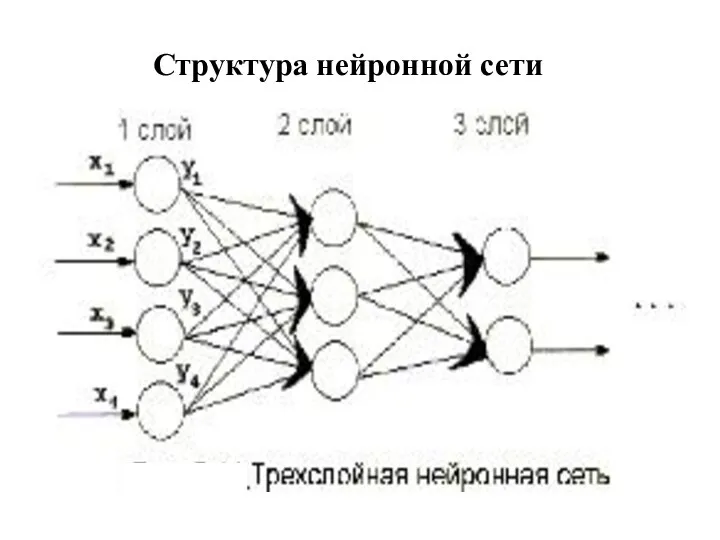 Структура нейронной сети ANNs are taught by system developer at concrete