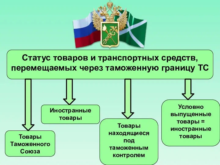 Статус товаров и транспортных средств, перемещаемых через таможенную границу ТС Товары