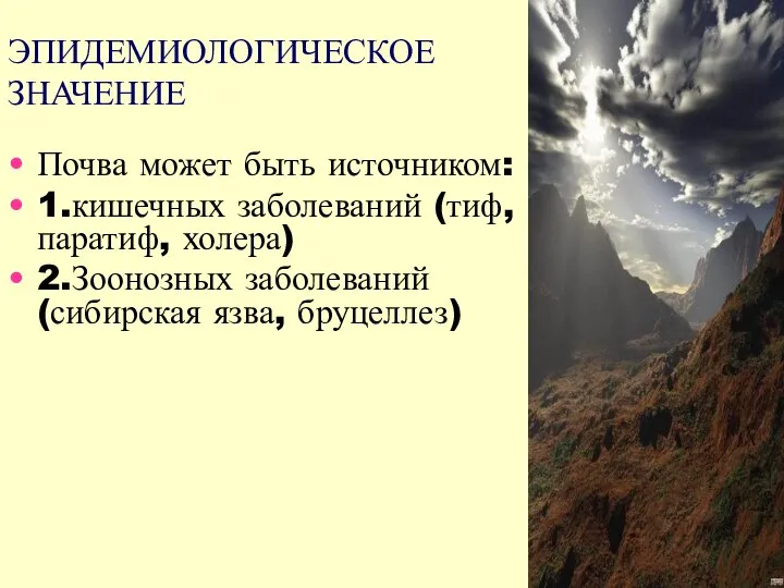 Почва может быть источником: 1.кишечных заболеваний (тиф, паратиф, холера) 2.Зоонозных заболеваний (сибирская язва, бруцеллез) ЭПИДЕМИОЛОГИЧЕСКОЕ ЗНАЧЕНИЕ