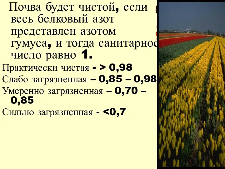 Почва будет чистой, если весь белковый азот представлен азотом гумуса, и