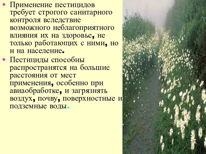 Применение пестицидов требует строгого санитарного контроля вследствие возможного неблагоприятного влияния их