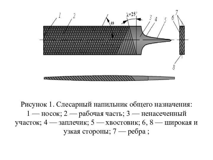 Рисунок 1. Слесарный напильник общего назначения: 1 — носок; 2 —