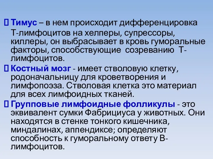 Тимус – в нем происходит дифференцировка Т-лимфоцитов на хелперы, супрессоры, киллеры,