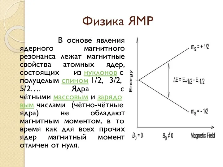 Физика ЯМР В основе явления ядерного магнитного резонанса лежат магнитные свойства