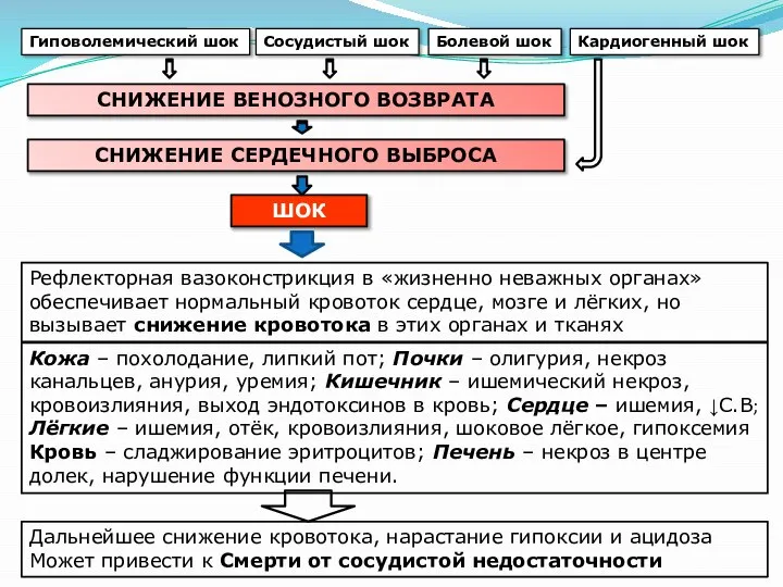 Гиповолемический шок Сосудистый шок Болевой шок Кардиогенный шок СНИЖЕНИЕ ВЕНОЗНОГО ВОЗВРАТА