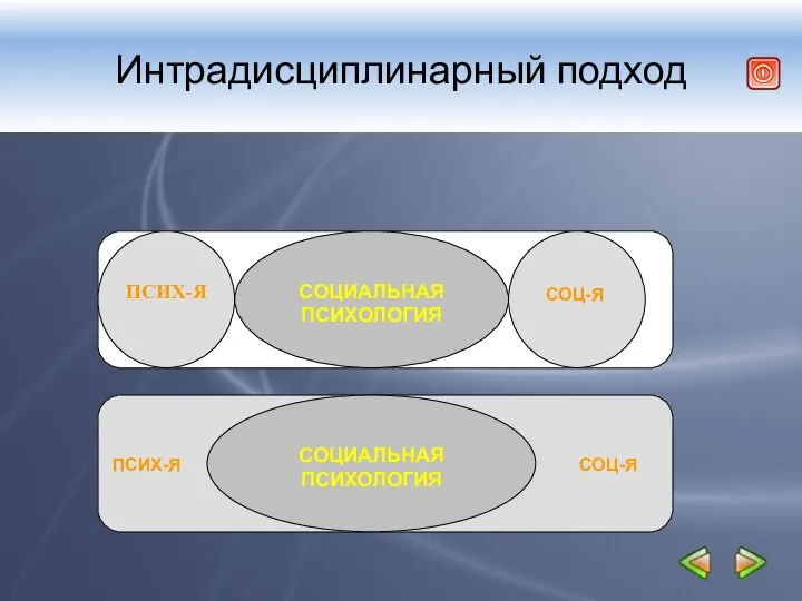 Интрадисциплинарный подход