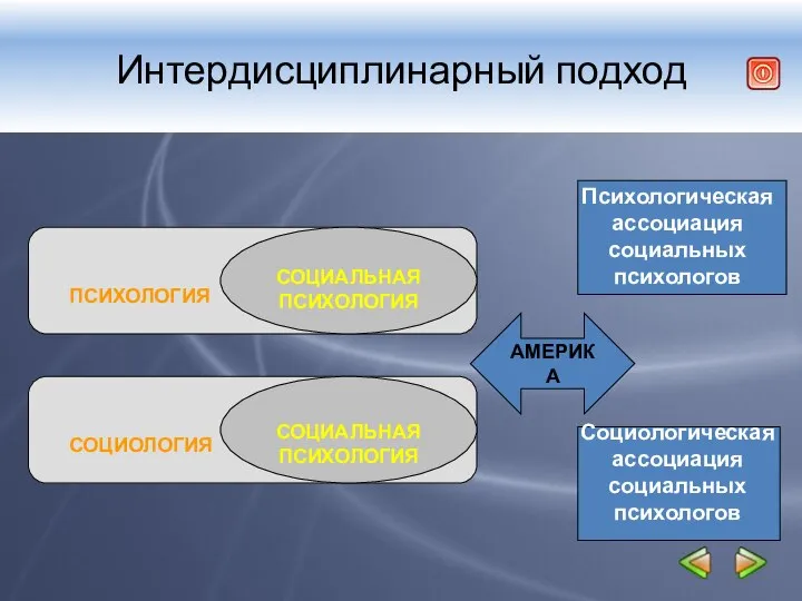 Интердисциплинарный подход Психологическая ассоциация социальных психологов Социологическая ассоциация социальных психологов АМЕРИКА