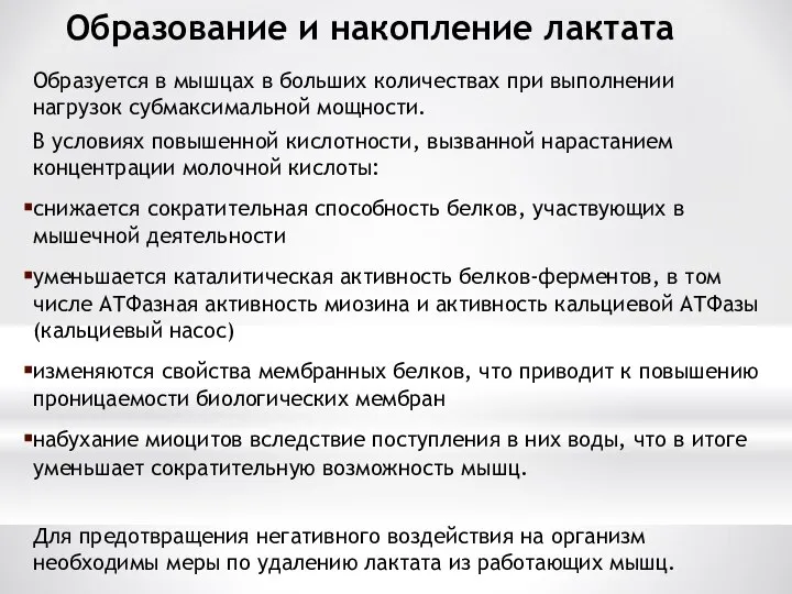 Образование и накопление лактата Образуется в мышцах в больших количествах при