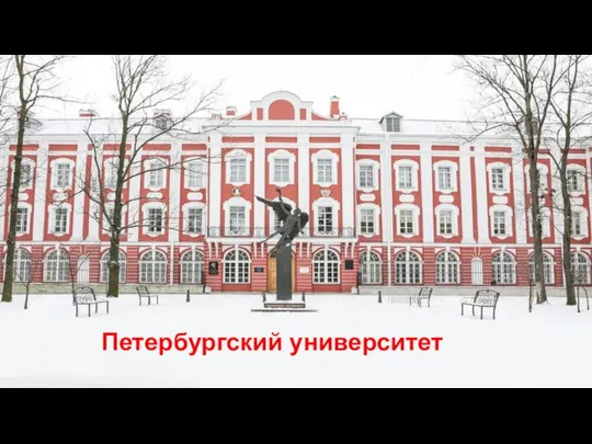 Петербургский университет