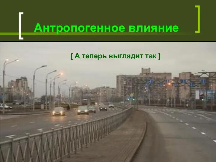 Антропогенное влияние [ До 2006 года проспект выглядел так ] [ А теперь выглядит так ]