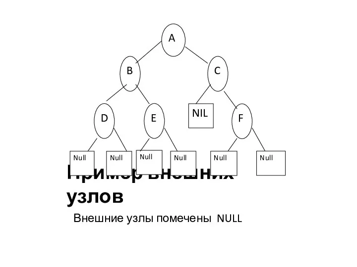 Пример внешних узлов Внешние узлы помечены NULL