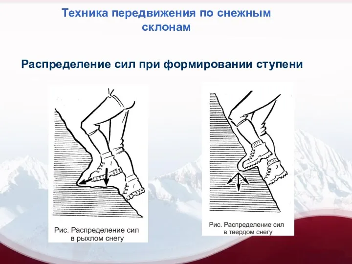 Техника передвижения по снежным склонам Распределение сил при формировании ступени