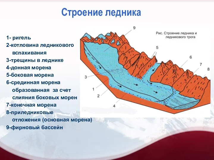 Строение ледника 1- ригель 2-котловина ледникового вспахивания 3-трещины в леднике 4-донная