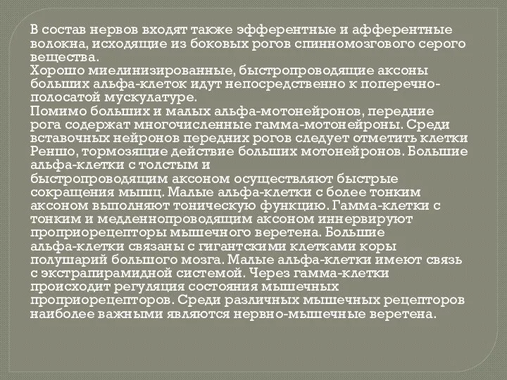 В состав нервов входят также эфферентные и афферентные волокна, исходящие из