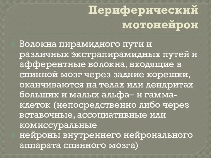 Периферический мотонейрон Волокна пирамидного пути и различных экстрапирамидных путей и афферентные