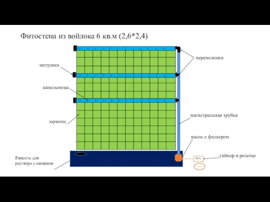 Фитостена из войлока 6 кв.м (2,6*2,4)