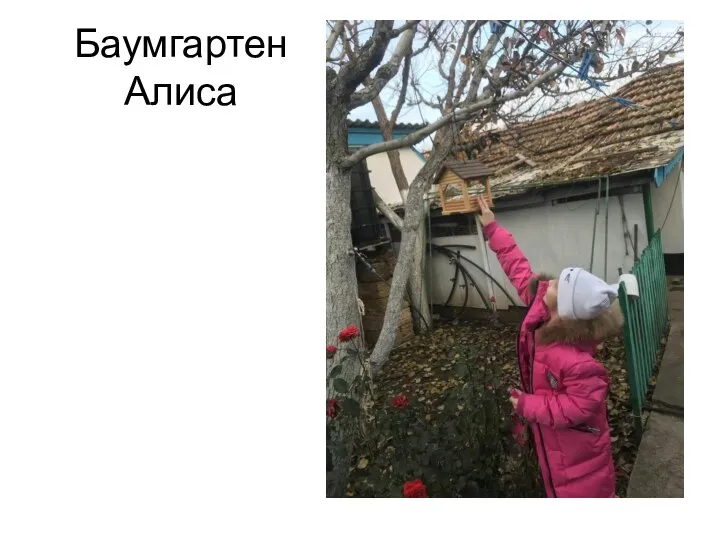 Баумгартен Алиса