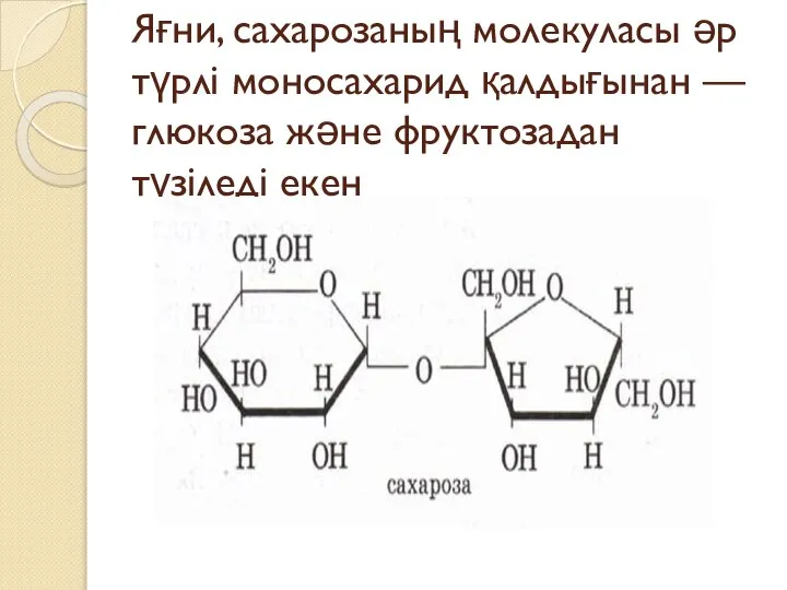 Яғни, сахарозаның молекуласы әр түрлі моносахарид қалдығынан — глюкоза және фруктозадан түзіледі екен