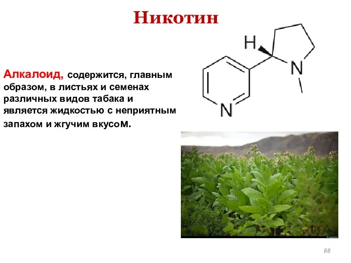 Алкалоид, содержится, главным образом, в листьях и семенах различных видов табака
