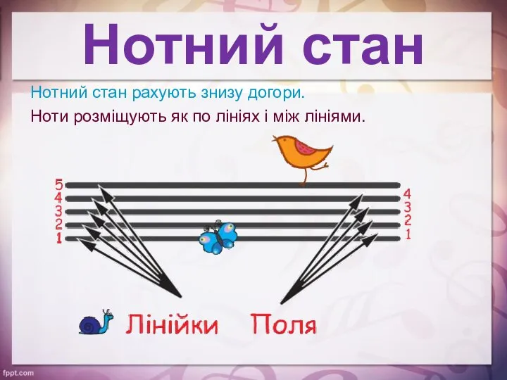 Нотний стан Нотний стан рахують знизу догори. Ноти розміщують як по лініях і між лініями.