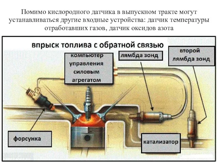 Помимо кислородного датчика в выпускном тракте могут устанавливаться другие входные устройства: