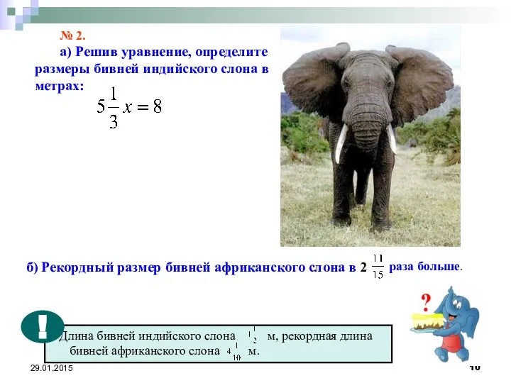 29.01.2015 № 2. а) Решив уравнение, определите размеры бивней индийского слона