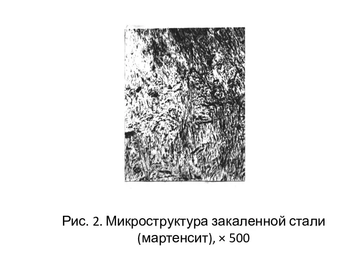 Рис. 2. Микроструктура закаленной стали (мартенсит), × 500